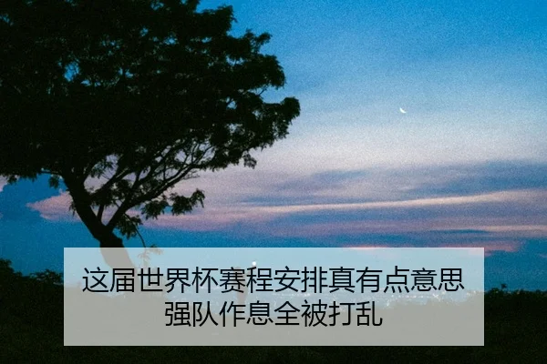 zhe-jie-shi-jie-bei-sai-cheng-an-pai-zhen-you-dian-yi-si-qiang-dui-zuo-xi-quan-bei-da-luan-2-792.jpg